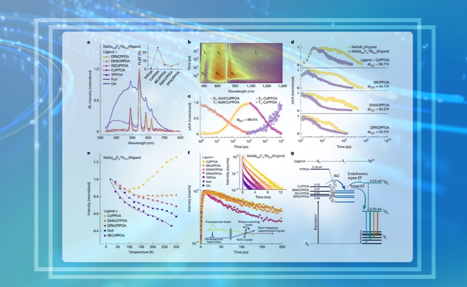 91精品国产自产在线老师啪