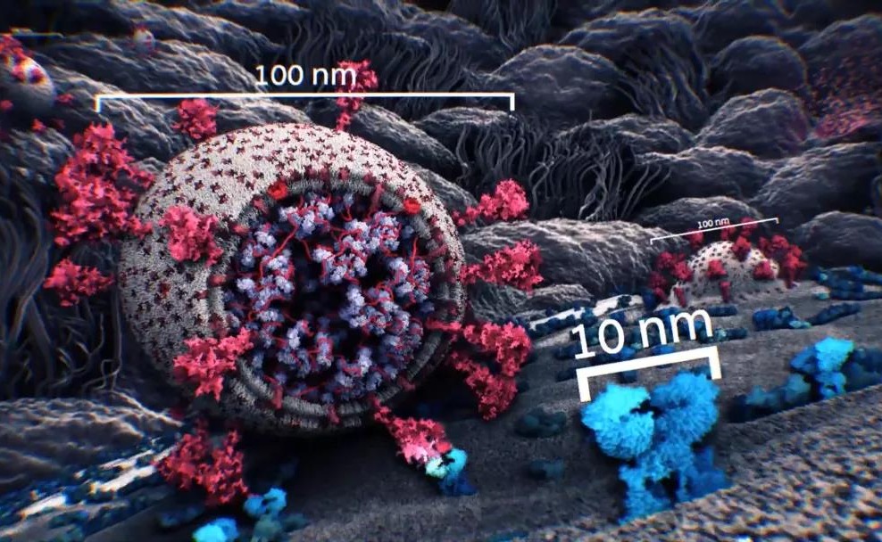 91精品国产自产在线老师啪