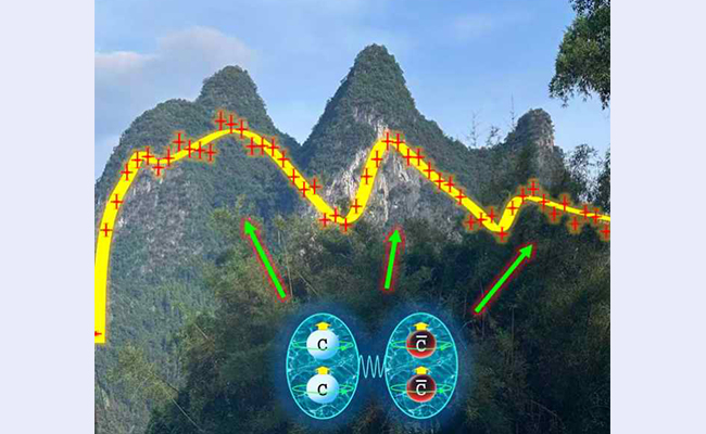 91精品国产自产在线老师啪