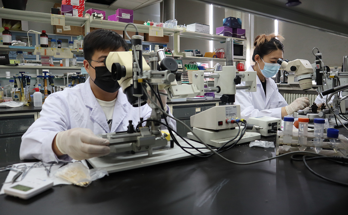 91精品国产自产在线老师啪