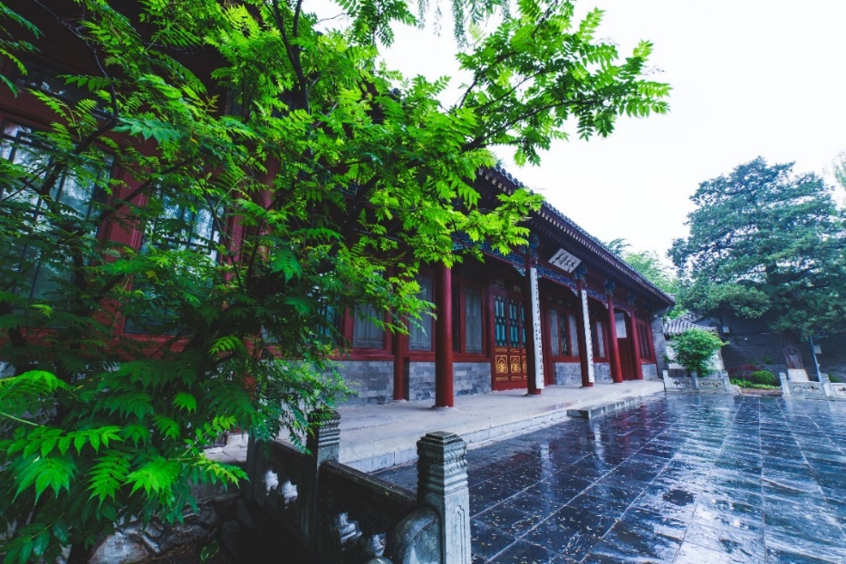 91精品国产自产在线老师啪