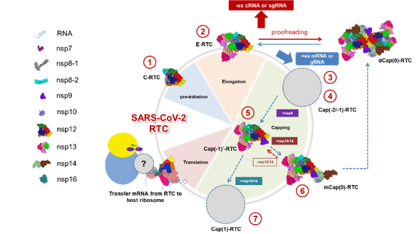 91精品国产自产在线老师啪