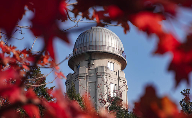 91精品国产自产在线老师啪