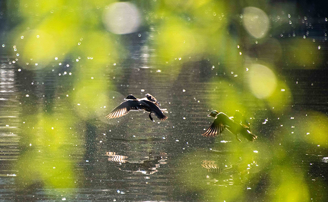 91精品国产自产在线老师啪