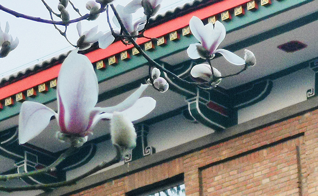 91精品国产自产在线老师啪