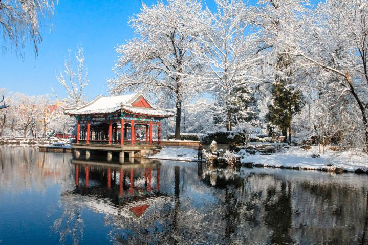 20250423-114 周年校庆|91精品国产自产在线老师啪-国产一级农村无码-中文字幕无码人妻AAA片-人妻不敢呻吟被中出A片视频-好看的亚洲av日韩av在线播放离退休教职工书画作品展和摄影作品展开幕-段鸿杰-作品名称:《校园雪韵》作者:费润升.png