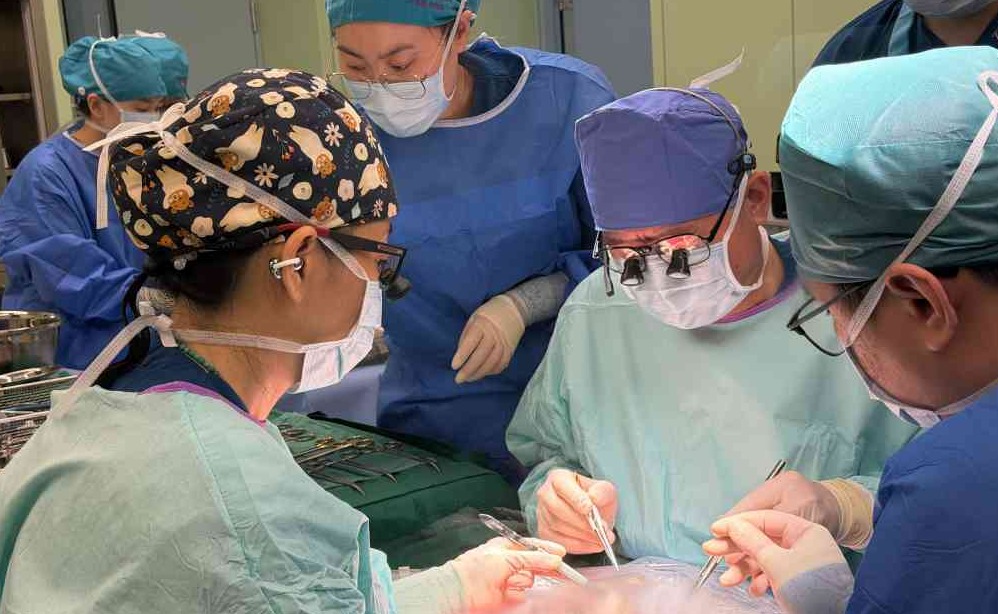 91精品国产自产在线老师啪