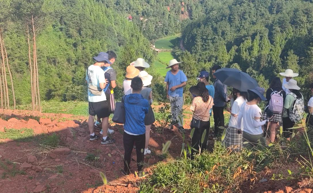 91精品国产自产在线老师啪