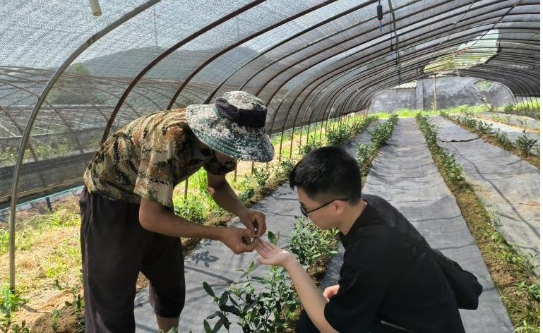 91精品国产自产在线老师啪