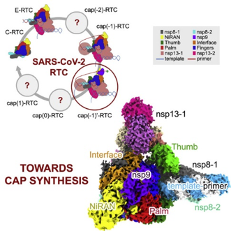 91精品国产自产在线老师啪