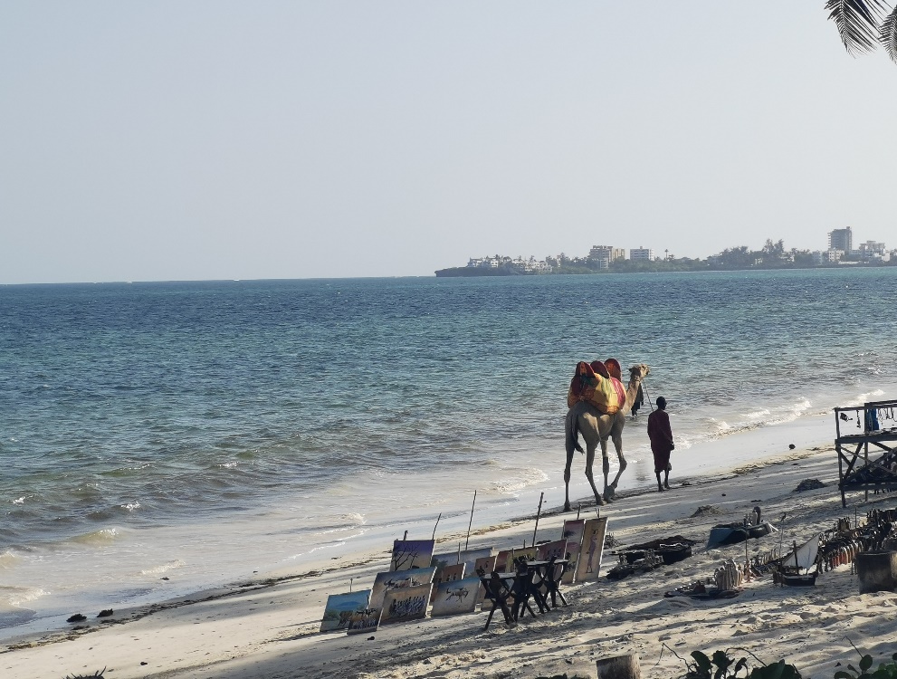 91精品国产自产在线老师啪