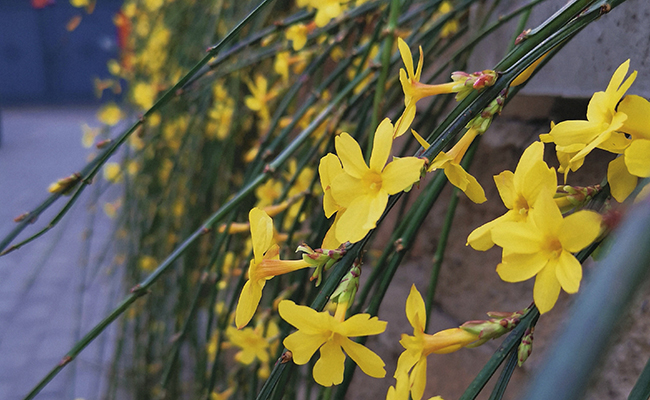 91精品国产自产在线老师啪