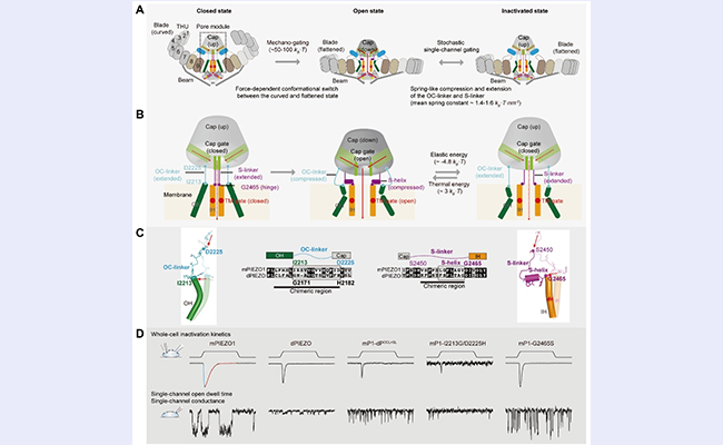 91精品国产自产在线老师啪