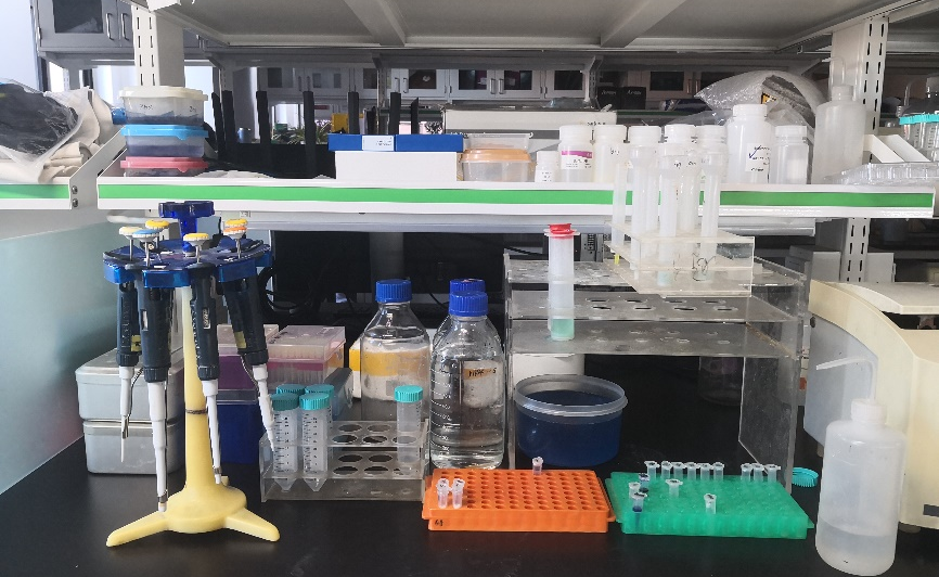 91精品国产自产在线老师啪