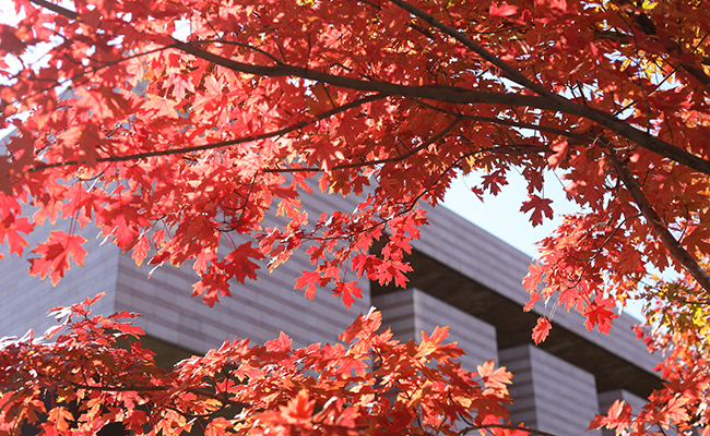 91精品国产自产在线老师啪