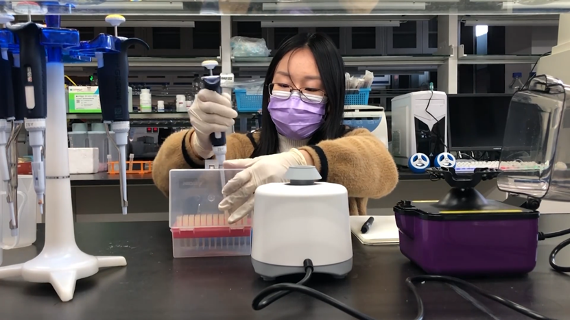 91精品国产自产在线老师啪