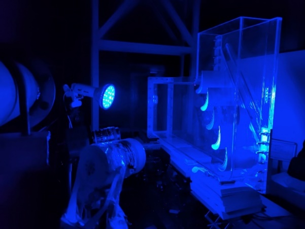 91精品国产自产在线老师啪