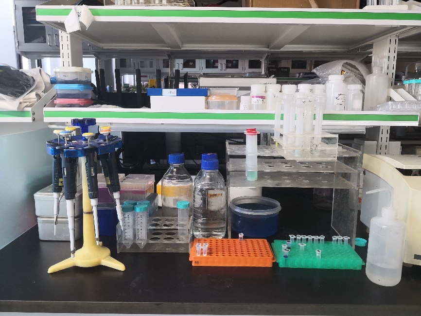 91精品国产自产在线老师啪