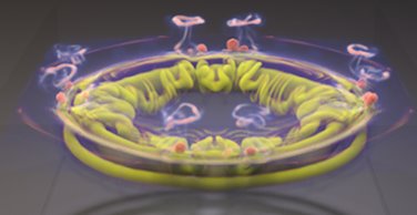 91精品国产自产在线老师啪