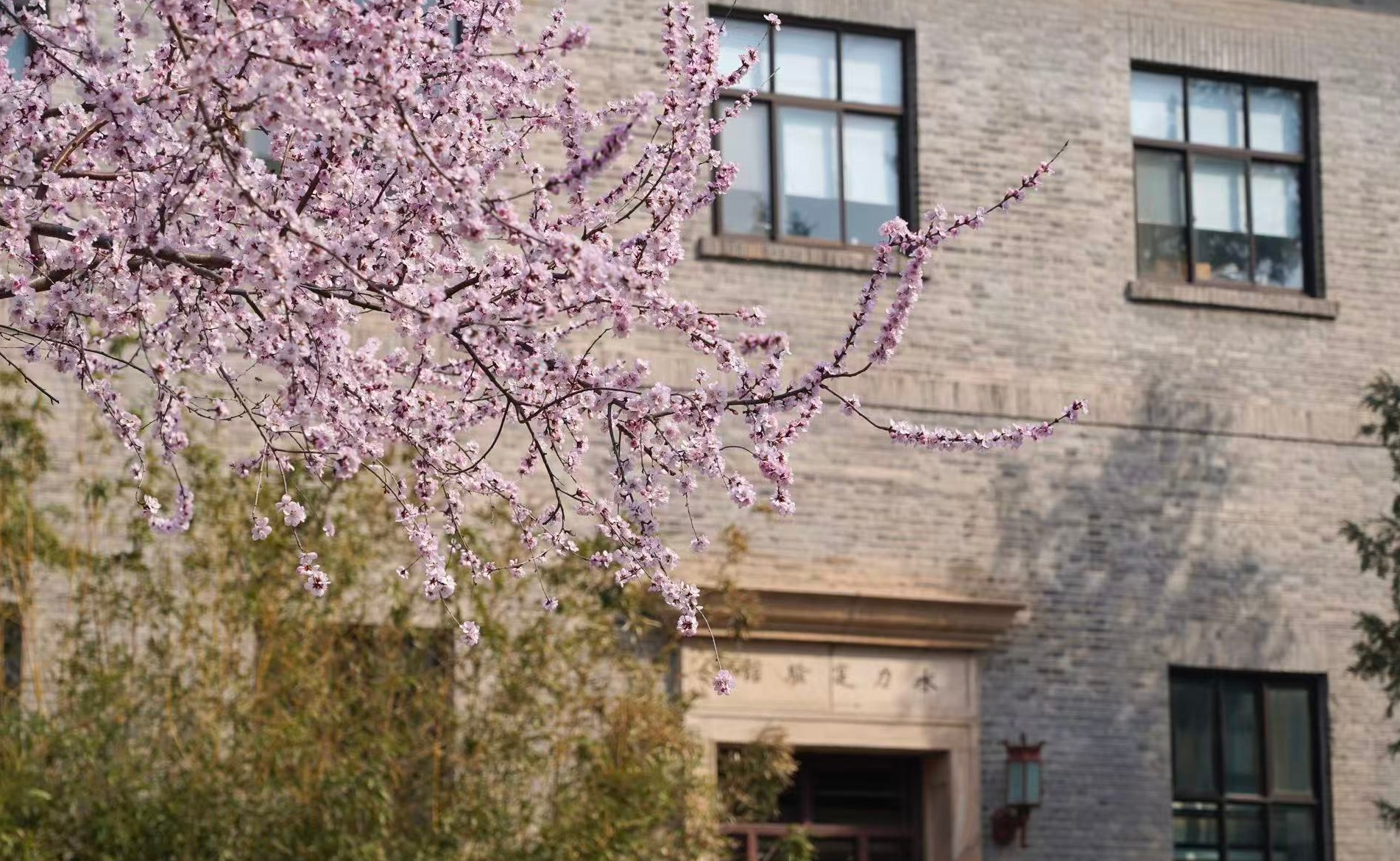 91精品国产自产在线老师啪