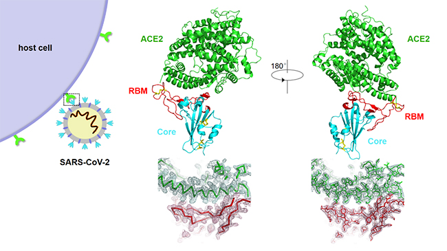 91精品国产自产在线老师啪