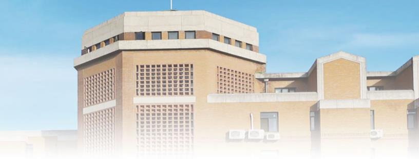 91精品国产自产在线老师啪