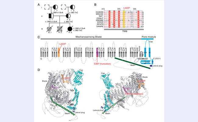 91精品国产自产在线老师啪