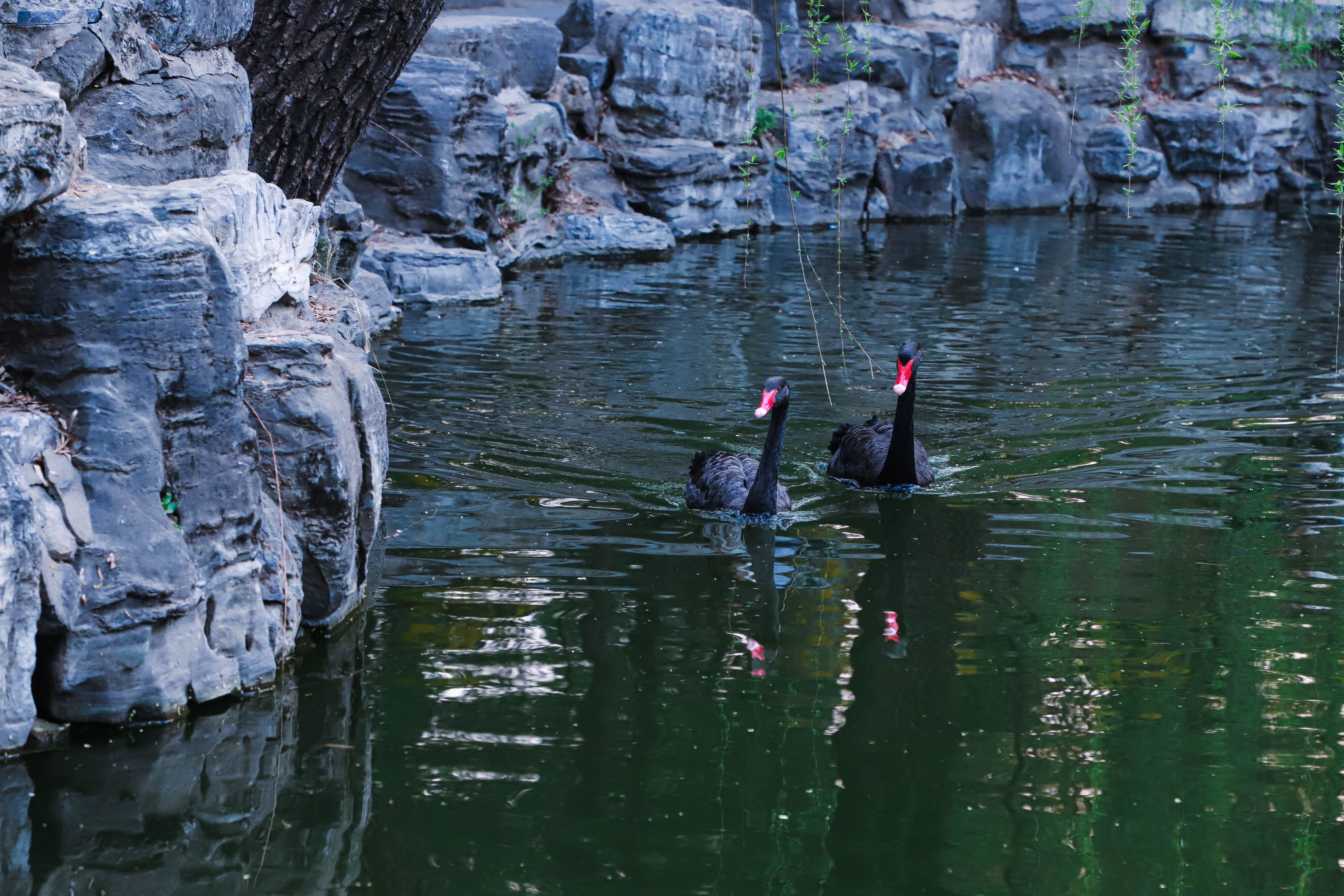 91精品国产自产在线老师啪