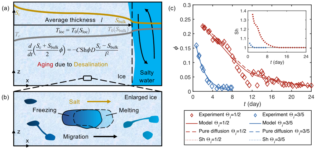 91精品国产自产在线老师啪