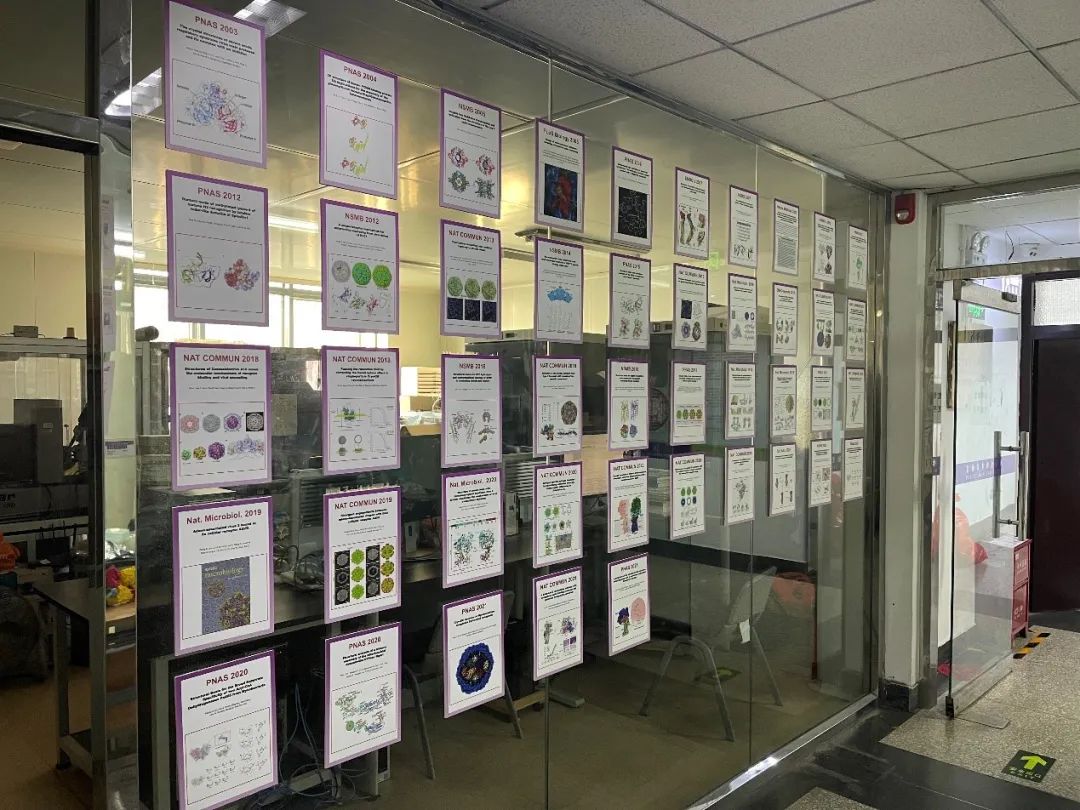 91精品国产自产在线老师啪