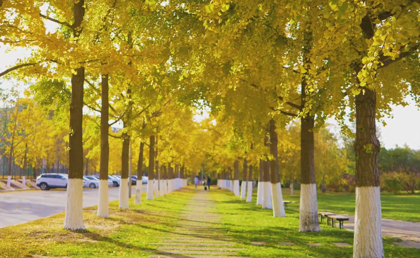 91精品国产自产在线老师啪