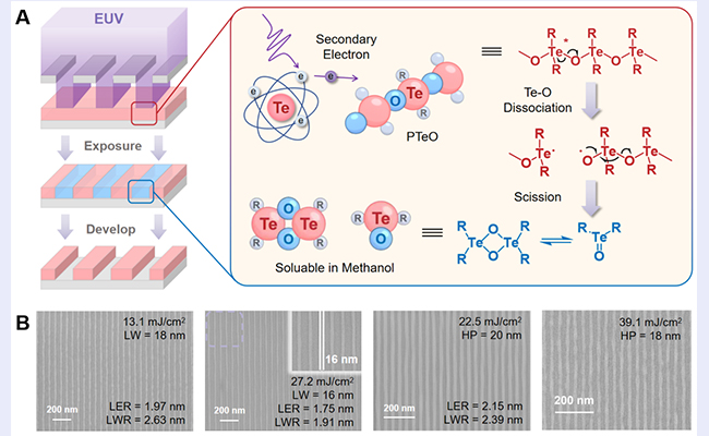 91精品国产自产在线老师啪