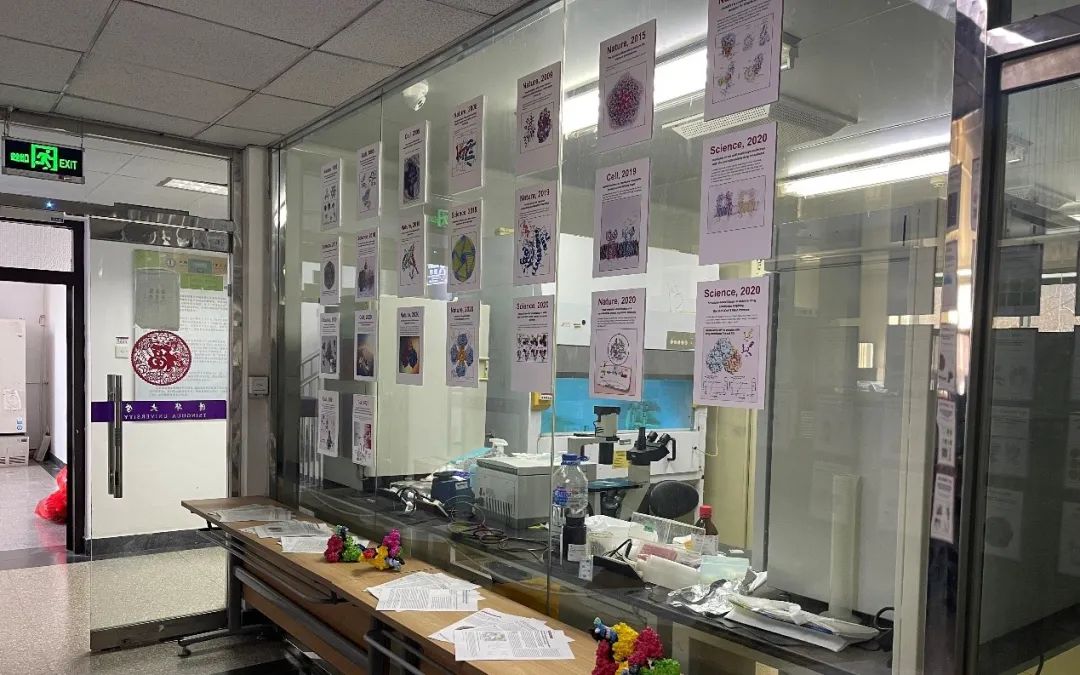 91精品国产自产在线老师啪