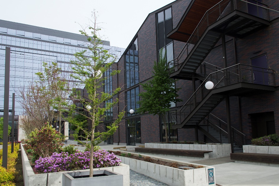 91精品国产自产在线老师啪