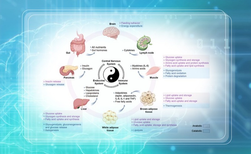 91精品国产自产在线老师啪