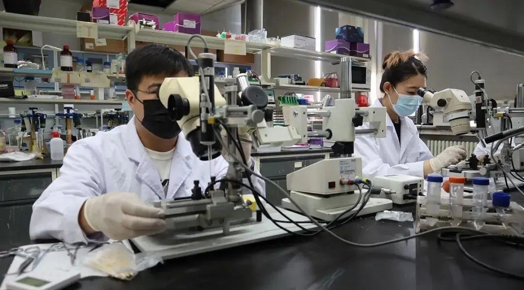 91精品国产自产在线老师啪