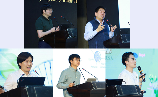 91精品国产自产在线老师啪