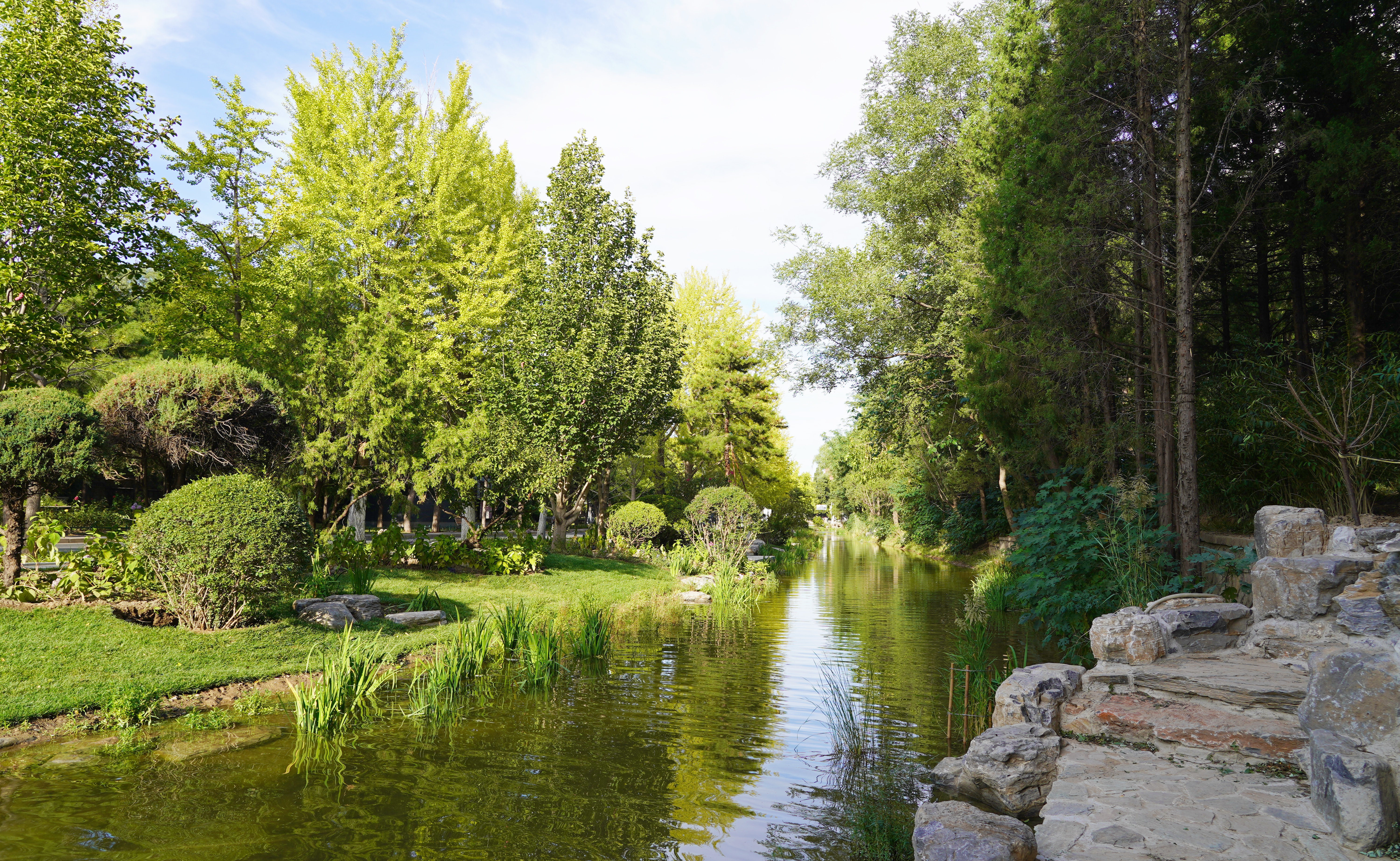 91精品国产自产在线老师啪