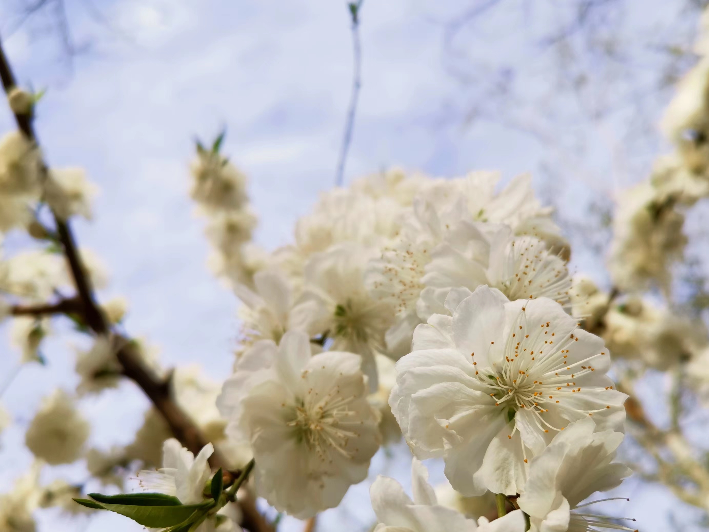 91精品国产自产在线老师啪