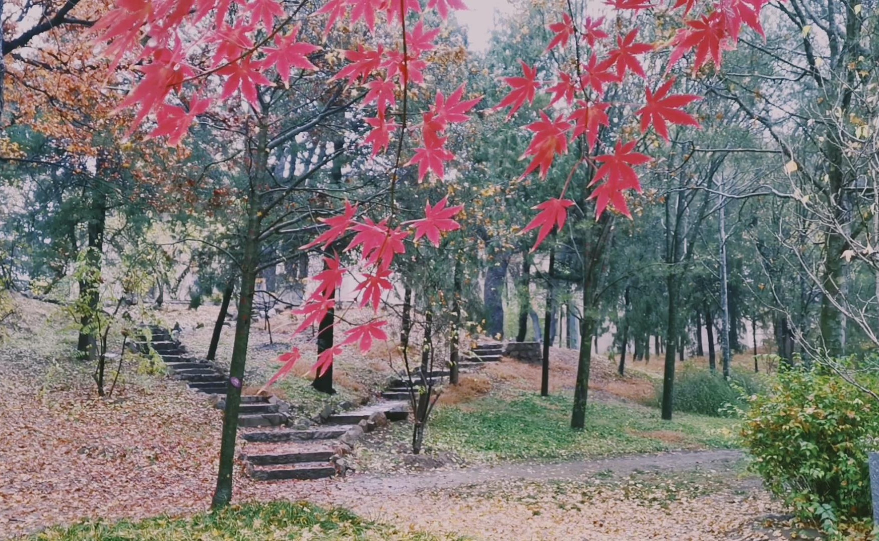 91精品国产自产在线老师啪