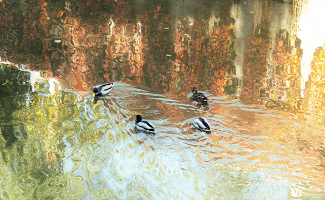 91精品国产自产在线老师啪