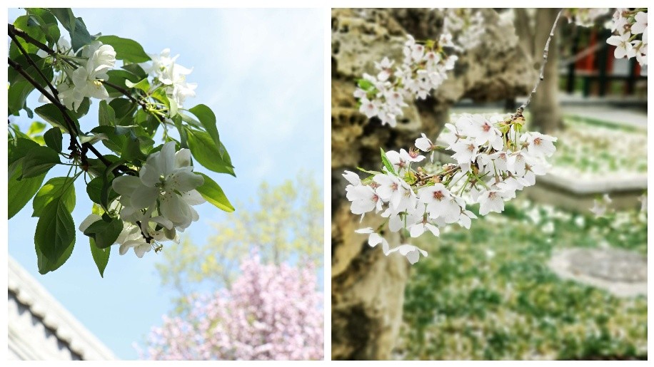 91精品国产自产在线老师啪