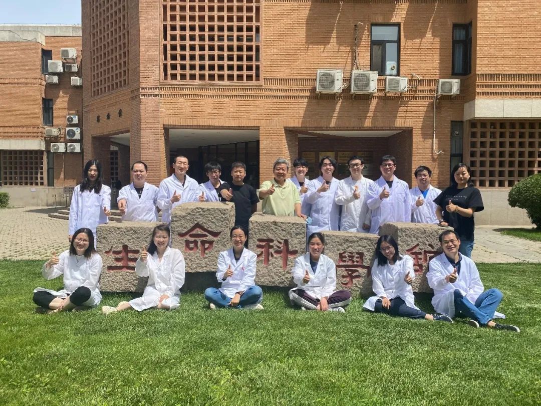 91精品国产自产在线老师啪