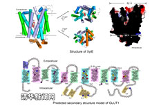 91精品国产自产在线老师啪
