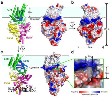 91精品国产自产在线老师啪