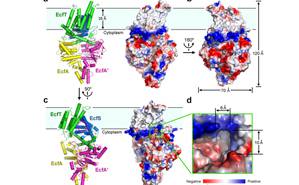 91精品国产自产在线老师啪