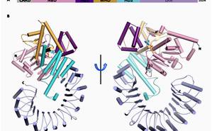 91精品国产自产在线老师啪