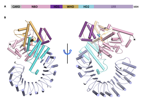 91精品国产自产在线老师啪