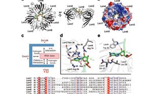 91精品国产自产在线老师啪