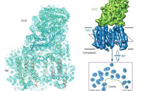 91精品国产自产在线老师啪